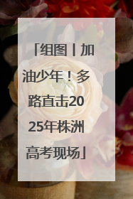组图丨加油少年！多路直击2025年株洲高考现场